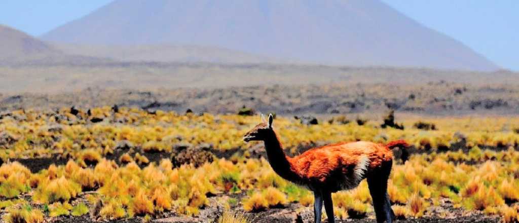 El "país" de volcanes mendocinos que puede ser Patrimonio de la UNESCO