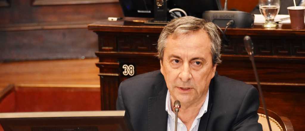 Thomas: "En la Legislatura no se resuelven los problemas de Fecovita"