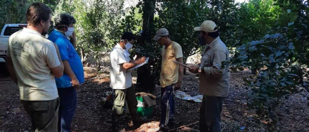 Diez "esclavos" fueron rescatados de una finca de San Rafael