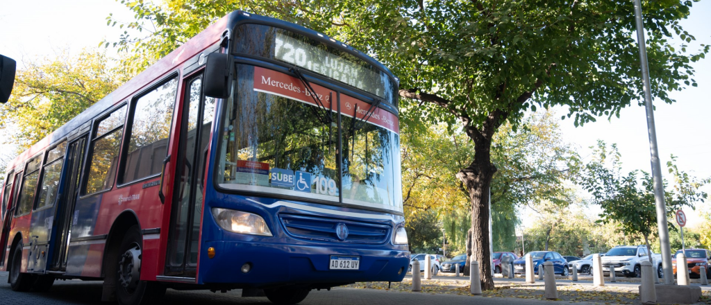 Diputada K, contra la "rentabilidad garantizada" a empresarios del transporte