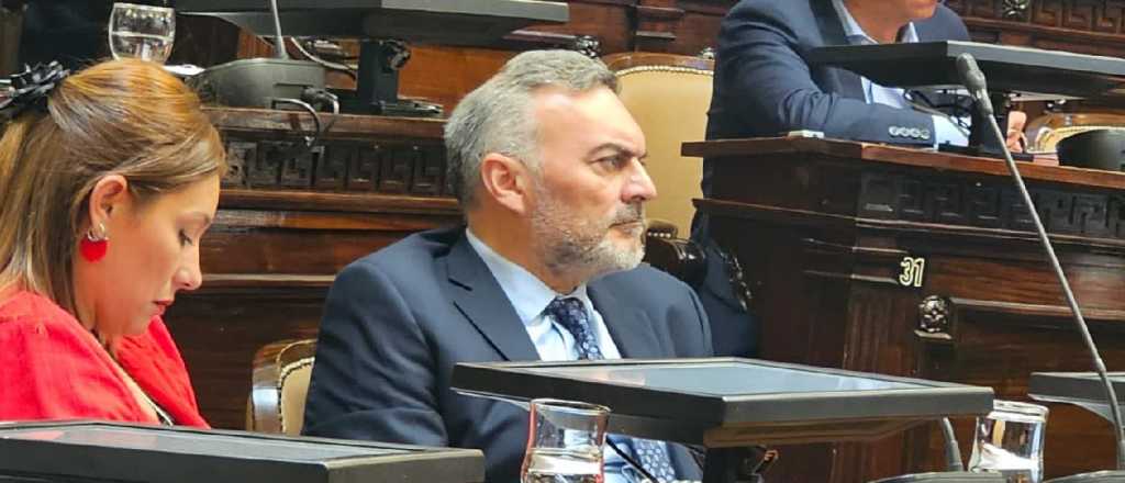 Un senador mendocino destrozó al "lobby bodeguero"