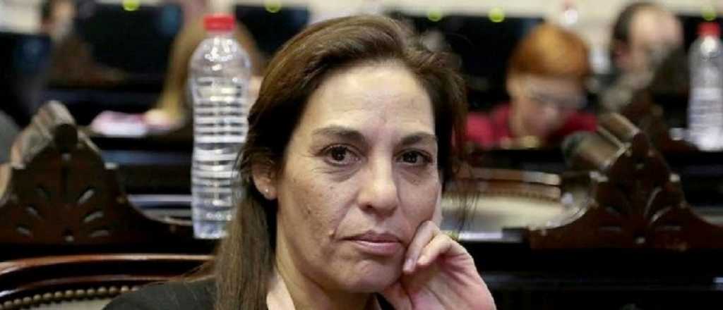 Una diputada radical fue agredida por libertarios en las puertas del Congreso