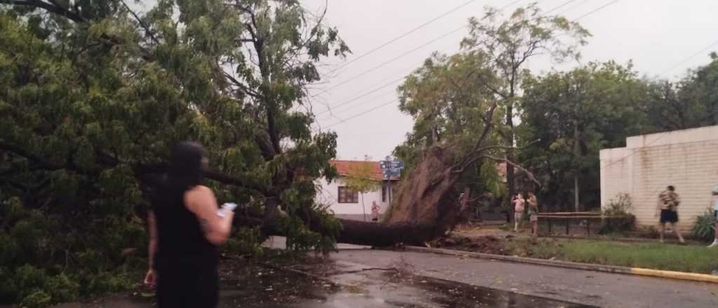 En medio del calor, una fuerte tormenta azotó Mendoza