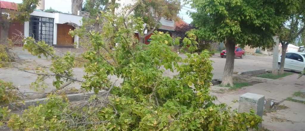 Contingencias alerta que "no están funcionando las predicciones de tormentas"