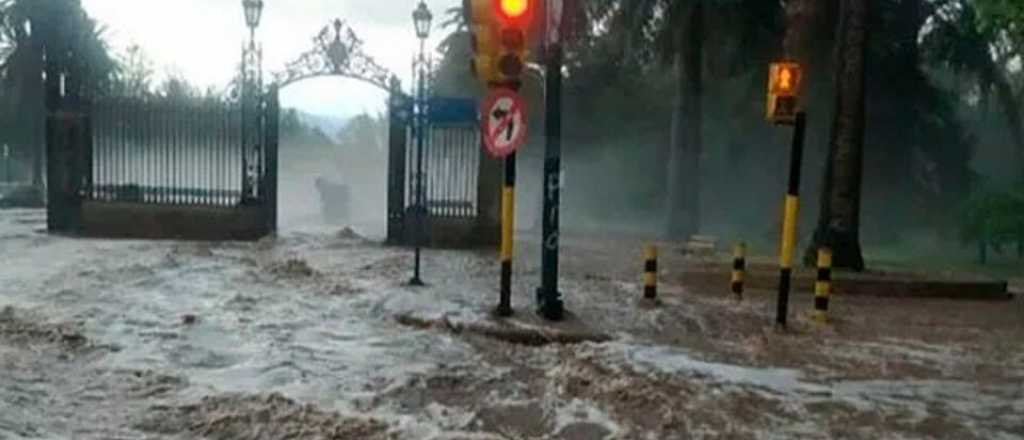 Encuesta reveló qué hacen los mendocinos ante el cambio climático