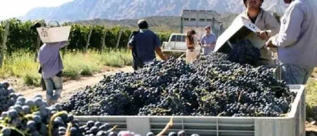 Pedían cosechadores para Mendoza pero era una estafa por Facebook