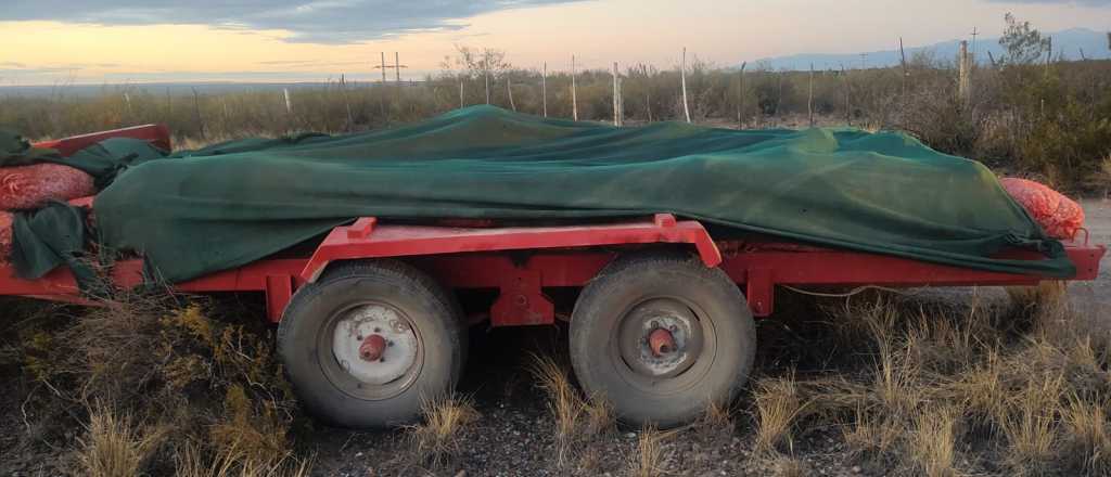 Tupungato: frustraron el robo de un enorme cargamento de ajo