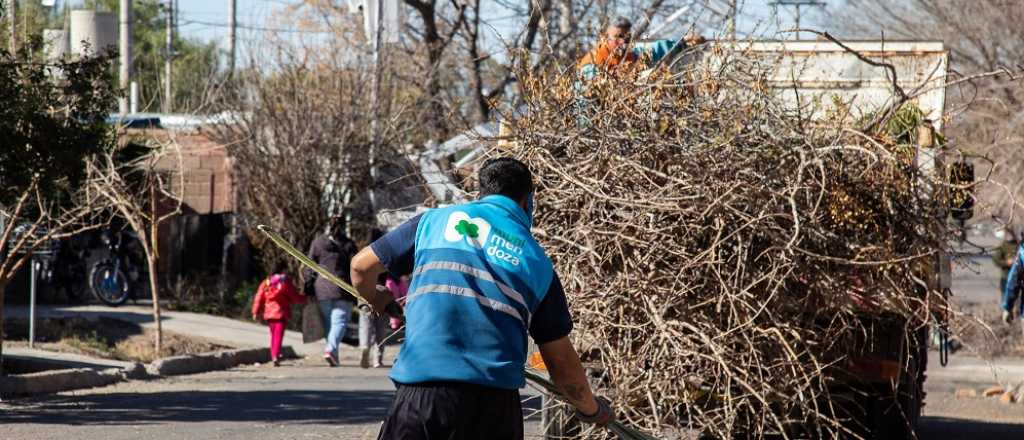 Los trabajos en arbolado y bacheo de arterias de Ciudad de esta semana