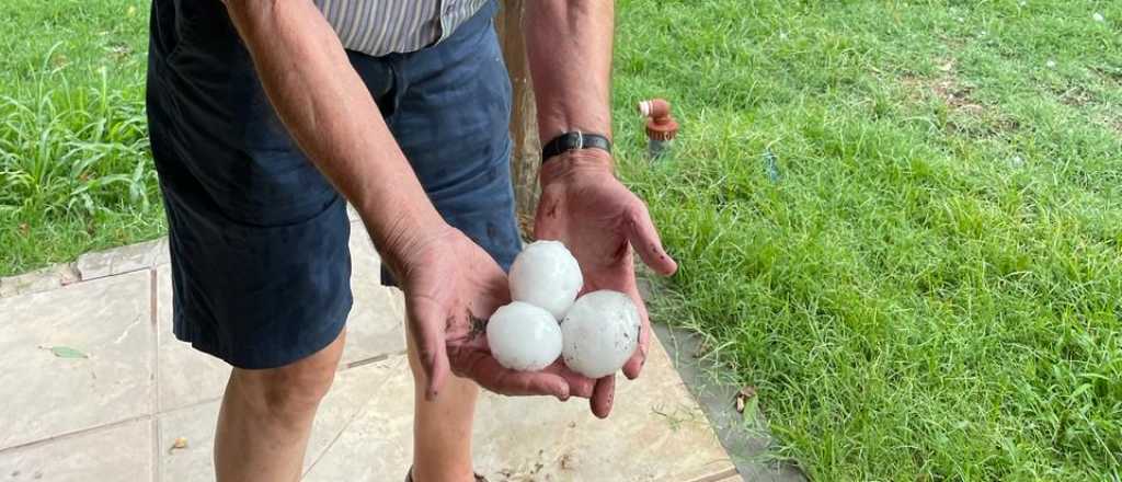 Como una pelota: enormes piedras de granizo azotaron Alvear este viernes