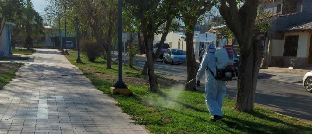 Maipú realizó operativos para combatir al dengue