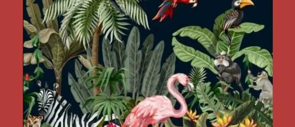 Acertijo visual: encontrá al cocodrilo escondido en la imagen