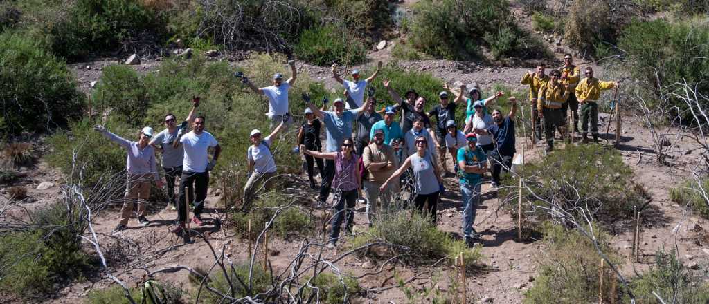 Finalizó la restauración ecológica en el cerro Arco afectado por los incendios