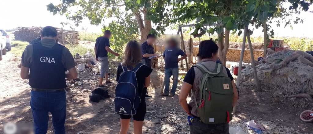 Rescataron a 22 personas explotadas laboralmente de una finca en San Martín