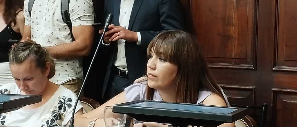 Suspendieron a la diputada Janina Ortiz