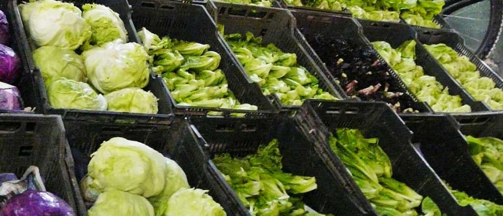 Por qué se disparó el precio de la lechuga en Mendoza