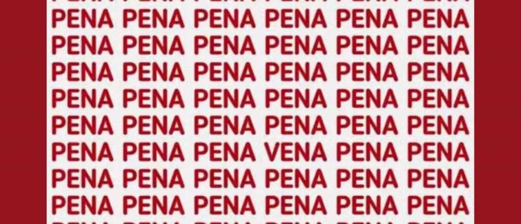 Sopa de letras: ¿podés encontrar las palabras vena y peña en la imagen?