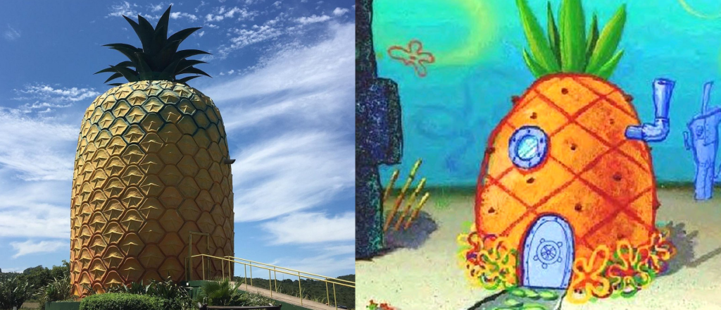La casapiña de Bob Esponja existe y se encuentra en África