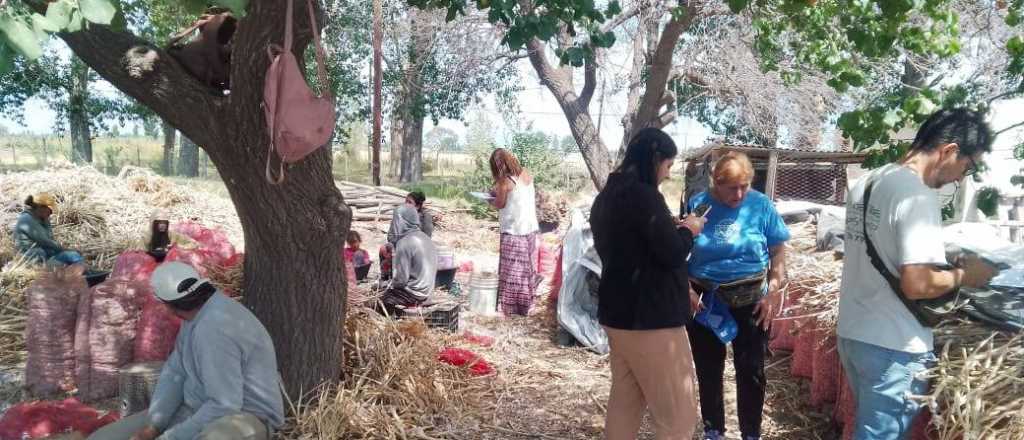 Detectaron a menores trabajando en un tambo en el Valle de Uco