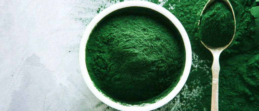 No por nada está de moda: 7 beneficios de incluir la espirulina en tu dieta