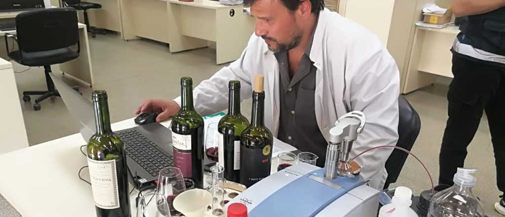 El INV reconoció una nueva indicación geográfica en San Juan