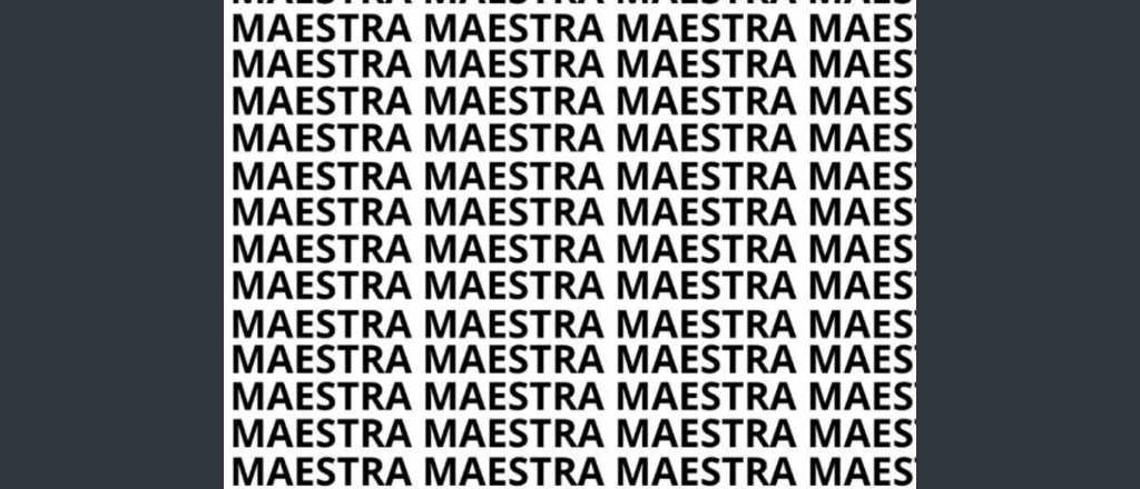 Sopa de letras: ¿podés encontrar la palabra "maestro" en menos de 5 segundos?