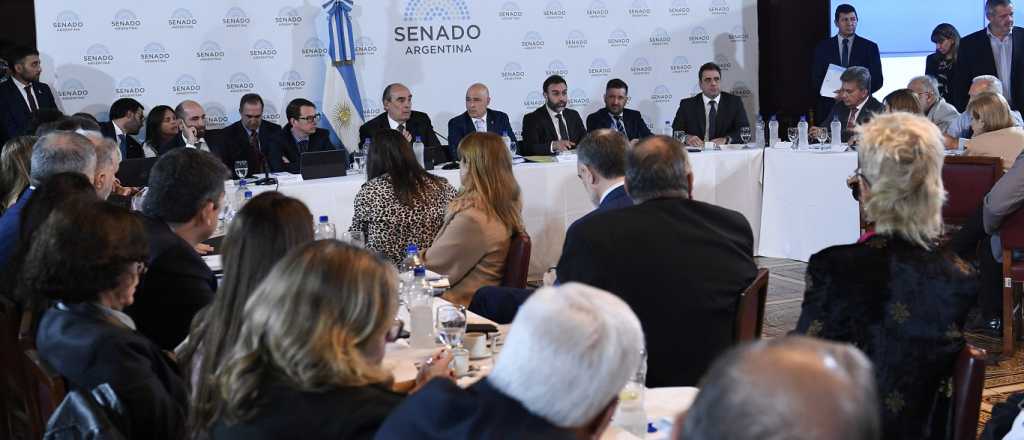 El Senado continúa este lunes con el tratamiento de la Ley de Bases