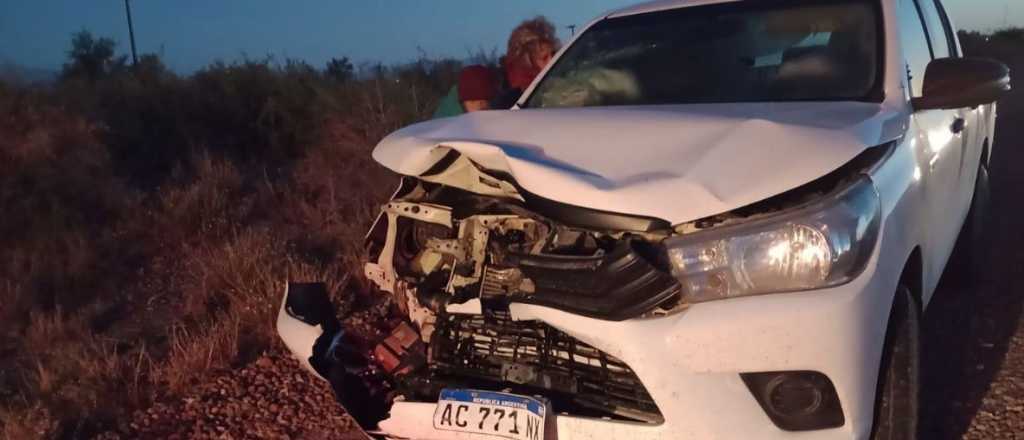 Una vaca se metió a la ruta y provocó un accidente en Tupungato