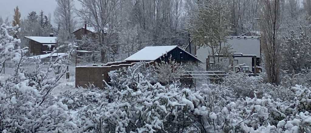 Fotos y video: La nieve pintó de blanco Potrerillos