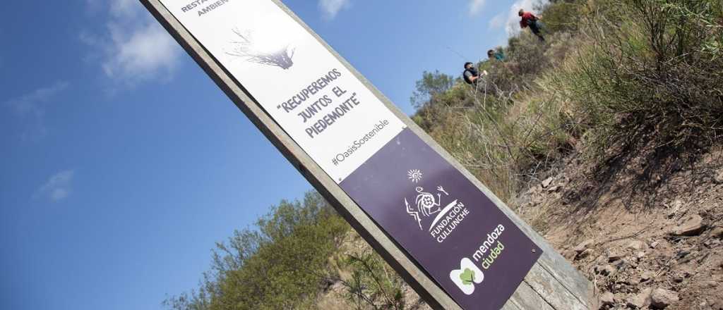 Inaugurarán un Paseo de Plantas Nativas en Ciudad