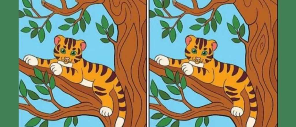 Acertijo visual: ¿cuáles son las diferencias que hay entre las imágenes?