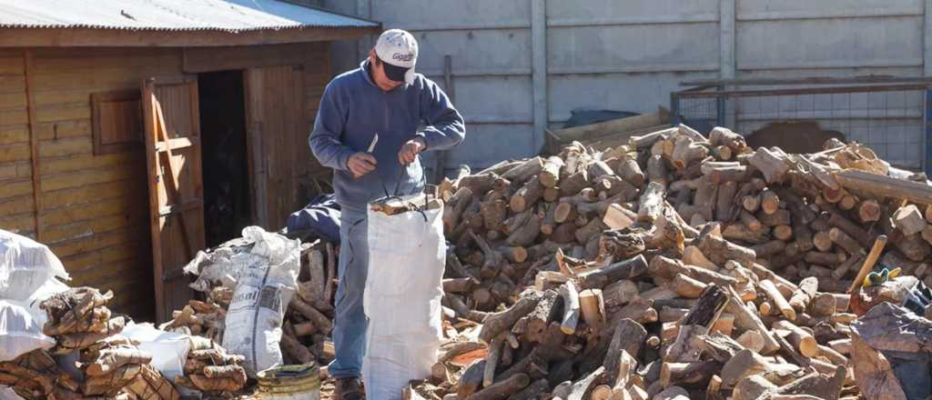 Por qué San Rafael gastará $114 millones en leña de algarrobo