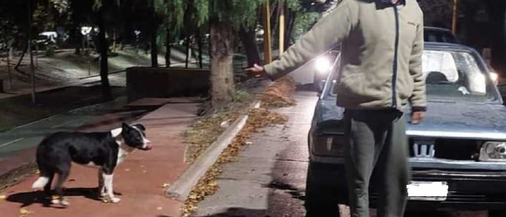 Video: abandonó a su perro en Luján: "Te lo regalo no quiero esa cagada"