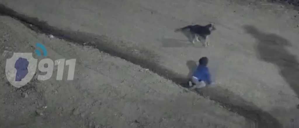 Video: encontraron a un bebé gateando solo en la madrugada