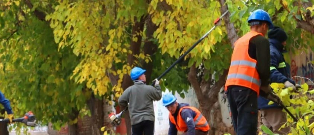 Arrancaron las tareas de poda en Luján de Cuyo