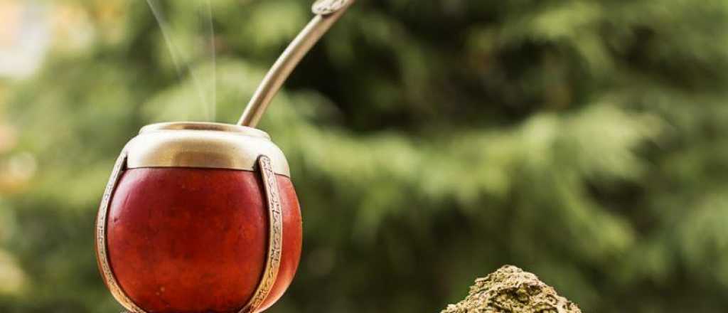 Mate sin yerba: los beneficios de esta bebida apta para gastro sensibles