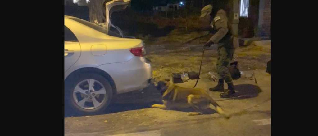 San Rafael: el can detector de narcóticos descubrió drogas en un auto