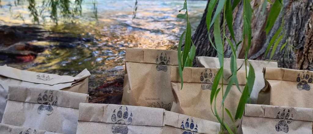 Yerba Mate orgánica en Mendoza: Jauría, la nueva marca de yerba saludable