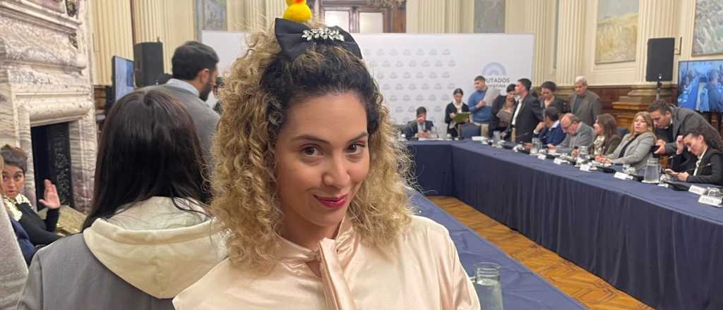 Una diputada libertaria por Mendoza fue a una sesión con un patito en la cabeza