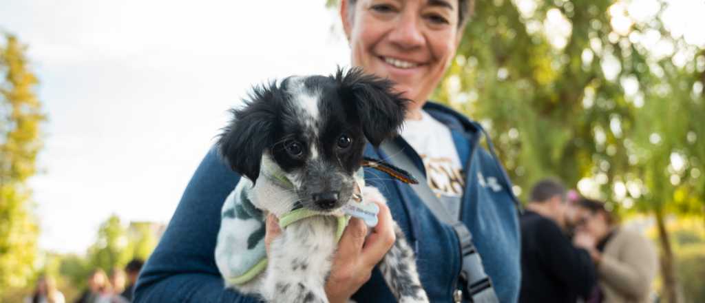 Cronograma de junio del móvil veterinario de Ciudad