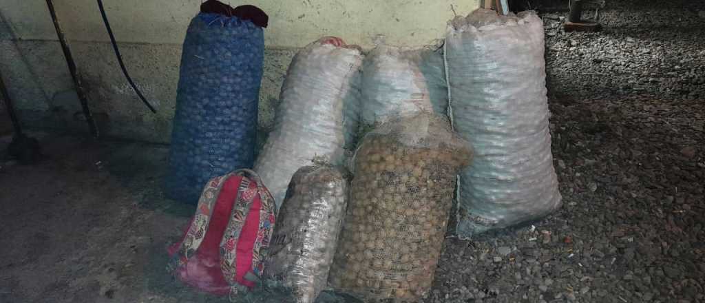 La Policía recuperó 200 kilos de nueces robadas en Tupungato