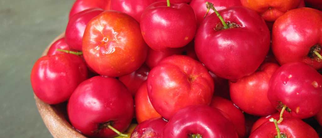 Acerola: la fruta milagrosa de múltiples beneficios