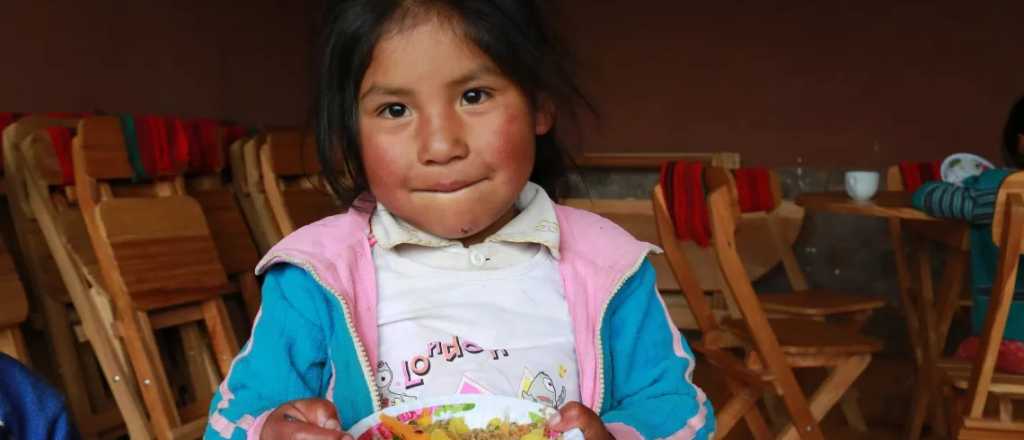 Diez millones de niños argentinos comen menos carne, lácteos y verduras