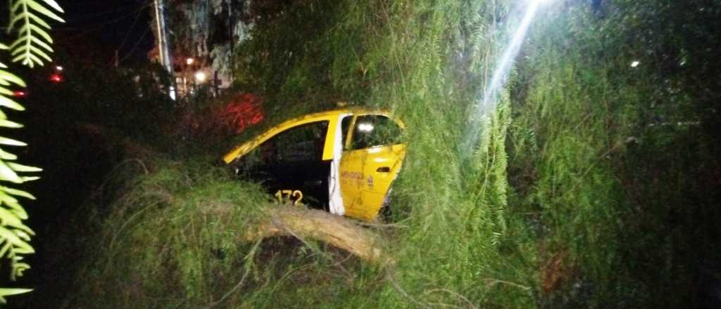 Cayó un árbol sobre un taxi en la Terminal: había una mujer embarazada a bordo