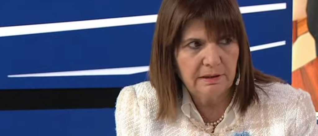 Video: Bullrich dijo que va a buscar a Loan "en la panza de animales"