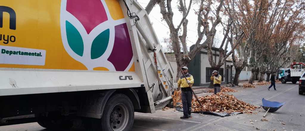 Luján de Cuyo continúa con la temporada de poda en el departamento