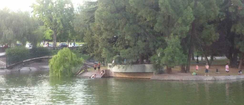 Video: filmaron a una familia bañándose en el lago del Parque