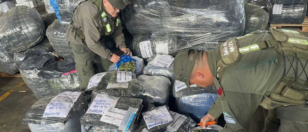 Gendarmería secuestró 271 kilos de hojas de coca en Godoy Cruz y Lavalle