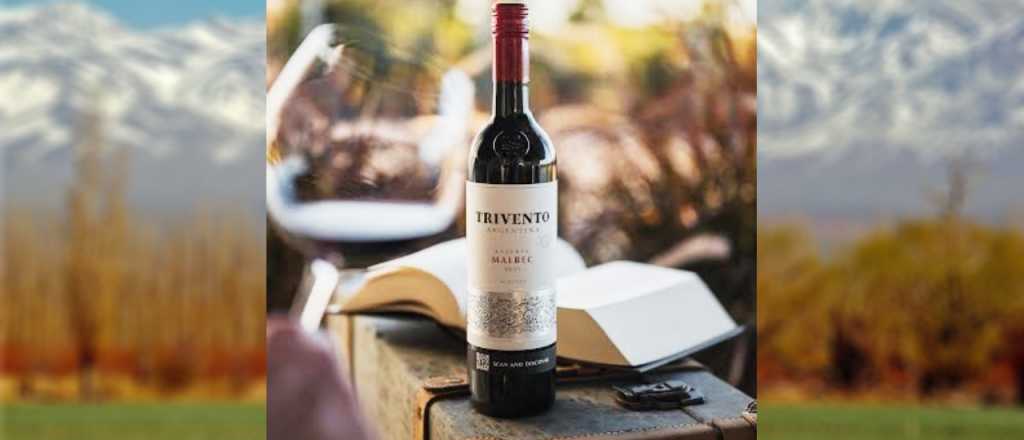 Cuánto cuesta el vino argentino más vendido del mundo