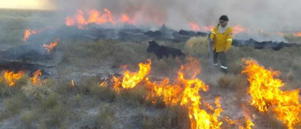 Bomberos combaten un incendio en San Rafael desde el lunes