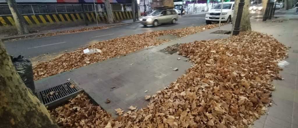 Viento Zonda: se suspenden las clases en varios sectores de Mendoza